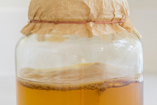 Infuso di kombucha