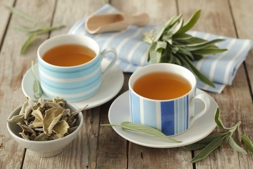Té di salvia