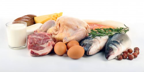 Alimenti proteici