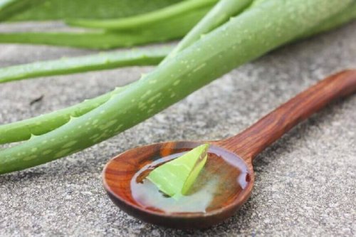Combattere il sudore: aloe vera