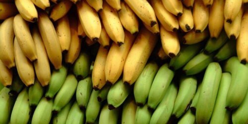 Platano e banana: 3 differenze nutrizionali