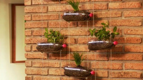 Giardino interno bottiglie