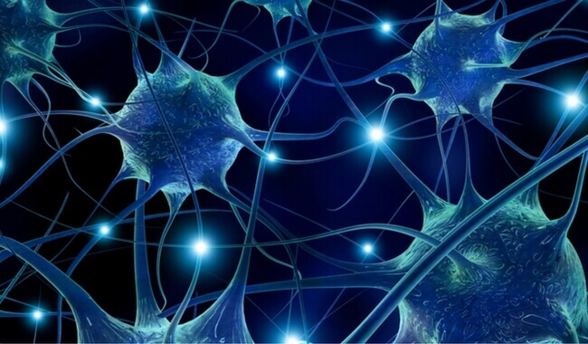 Connettività neuronale