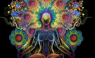 Ghiandola pineale: regolatrice dei cicli