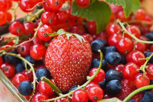 Frutti rossi