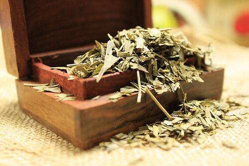 Ginkgo biloba contro i crampi muscolari