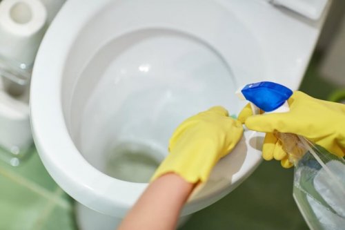 Igienizzare il bagno