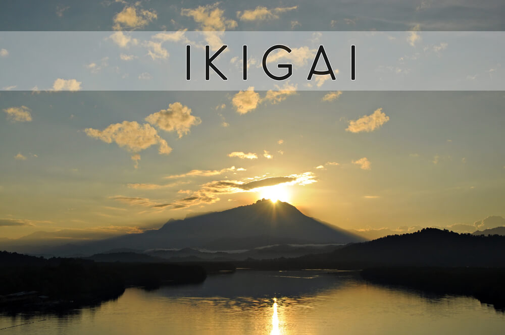 Ikigai, il segreto giapponese per vivere meglio