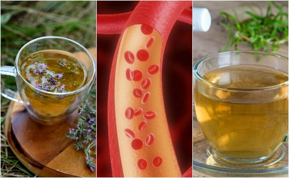 5 infusi alle erbe per pulire le arterie in modo naturale 5 infusi alle erbe per pulire le arterie in modo naturale