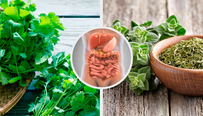 Infusi per disintossicare l'apparato digerente