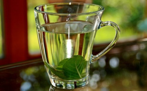 Infuso al basilico