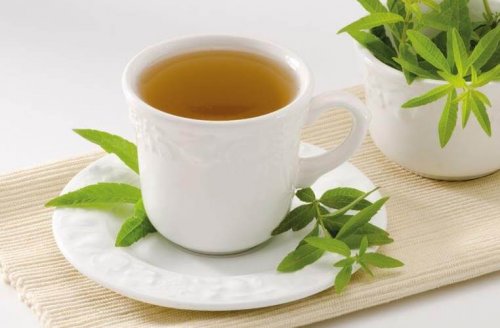 Infuso di erba Luisa