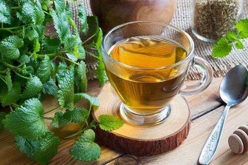 Infuso