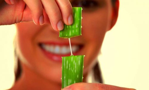 Maschera all'aloe vera