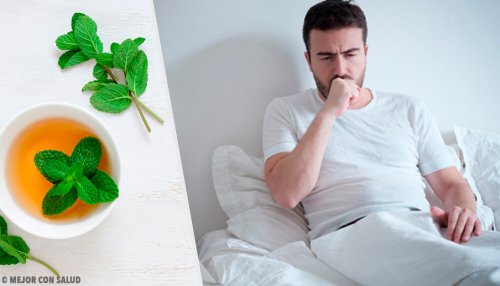 Infusi per calmare la tosse: i migliori 5