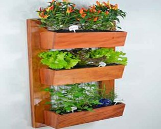 Realizzare un giardino interno con piante appese