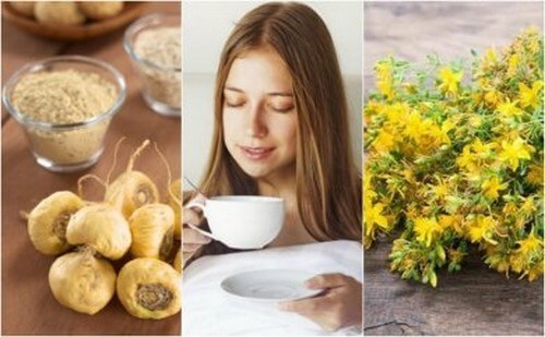 Aumentare il desiderio sessuale: piante medicinali