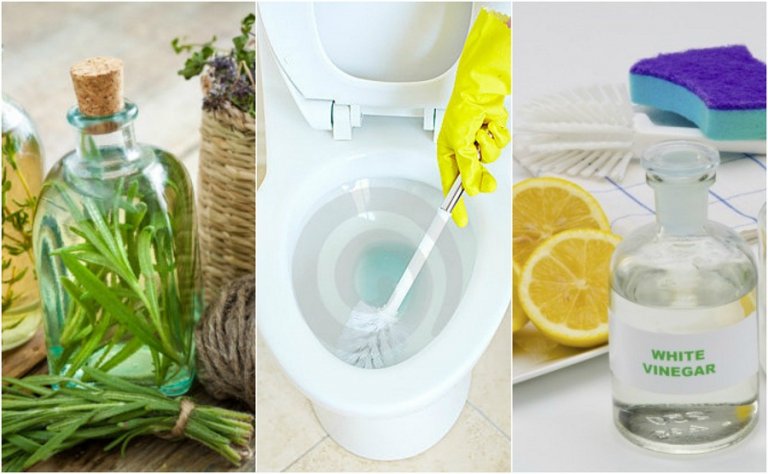 Disinfettare il bagno: soluzioni ecologiche