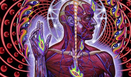 Rappresentazione della ghiandola pineale