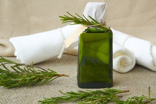 Rosmarino e olio dell'albero del tè sono ottimi per disinfettare il bagno