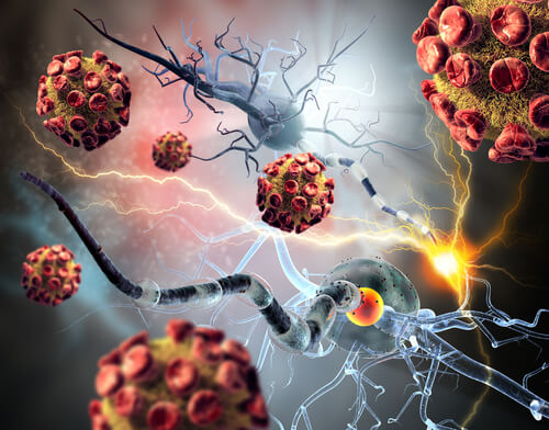 cellule e cancro
