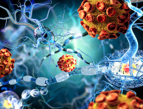 Virus della meningite