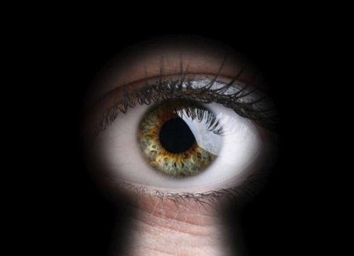 Voyeurismo