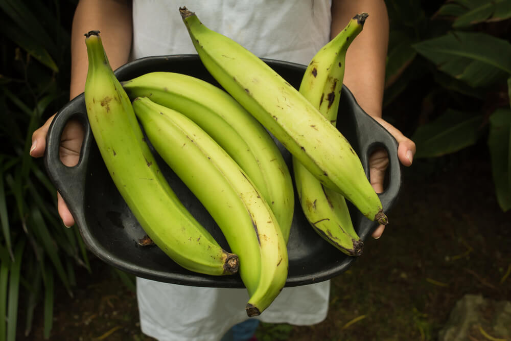 Platano e banana 3 differenze nutrizionali Vivere più sani