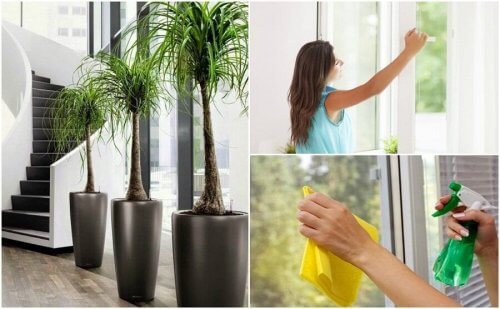 Migliorare la qualità dell'aria in casa: 6 consigli