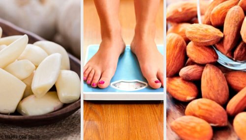come usare losso di avocado per perdere peso