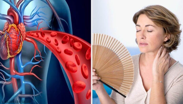 Effetti della menopausa sulla salute cardiaca