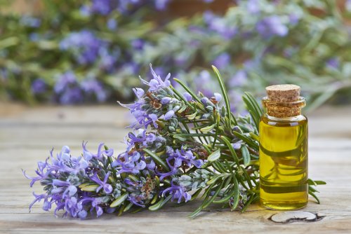 Olio di rosmarino rassodante