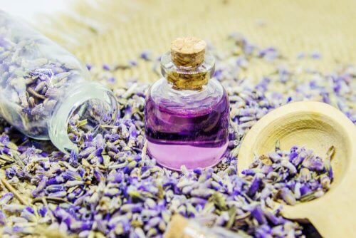 Olio di lavanda: preparazione e usi
