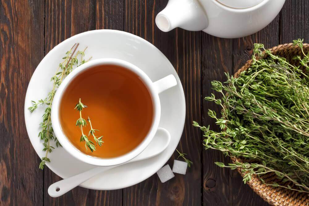 Infuso di timo: ricetta e benefici Infuso di timo: ricetta e benefici