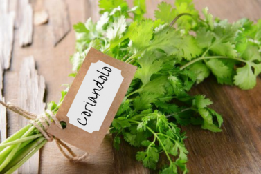 Benefici del coriandolo: scopriamo questa pianta officinale