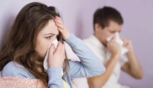 coppia con influenza