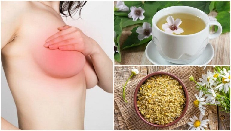 5 rimedi di origine naturale per calmare il dolore al seno