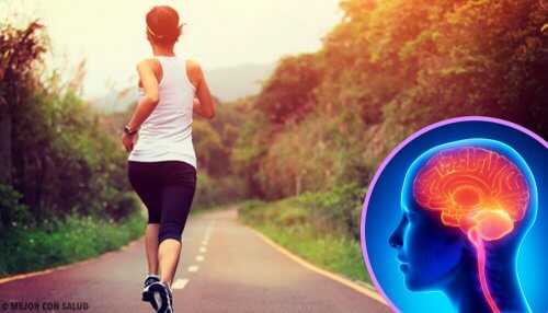 Interruzione dell'esercizio fisico: effetti sul cervello