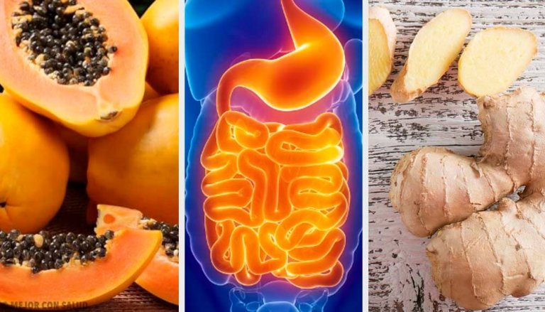 Difficoltà digestive: frutta e piante medicinali