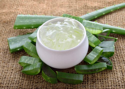 Gel d'aloe vera