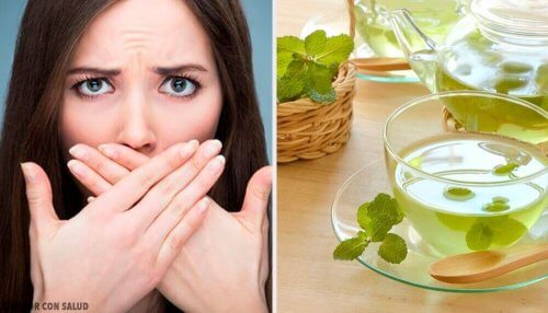 La menta: curiosità, proprietà e usi per la salute