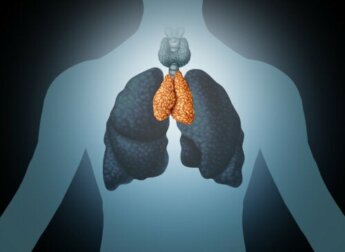 Timo: ghiandola del benessere e del sistema immunitario