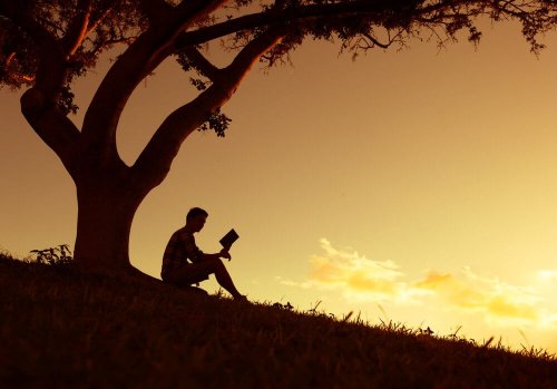 Uomo che legge un libro sotto a un albero