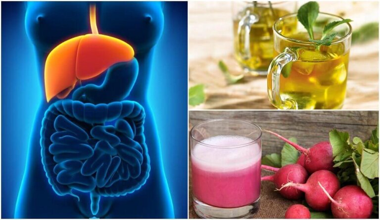 Trattare il fegato grasso in modo naturale