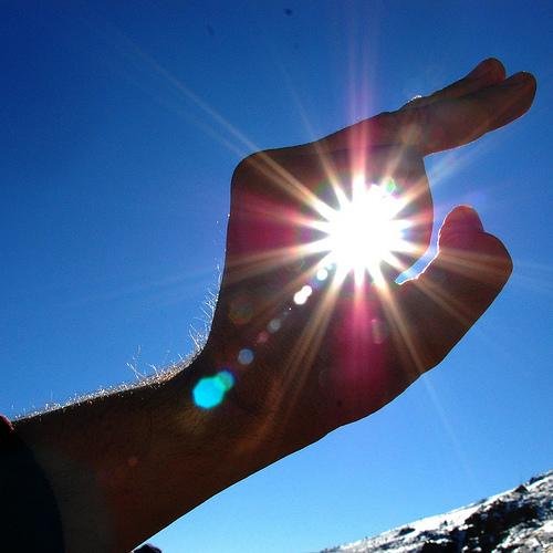 Sole