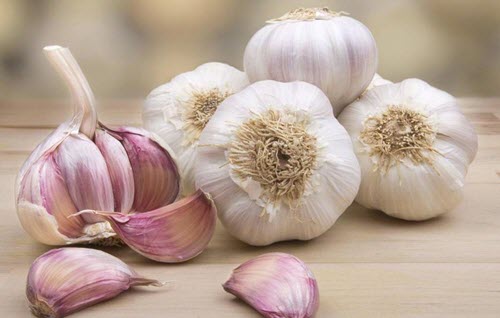 Aglio casalingo