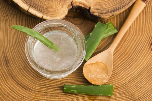 Aloe vera