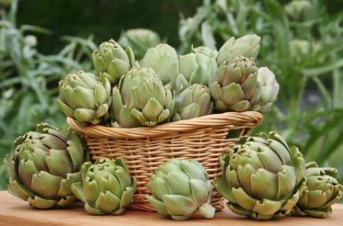 Carciofi