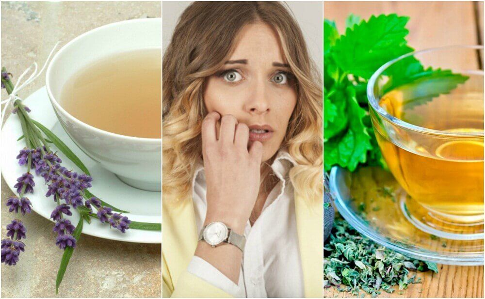 Rilassarsi con 5 rimedi naturali Rilassarsi con 5 rimedi naturali