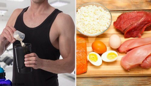 Creatina: benefici e caratteristiche